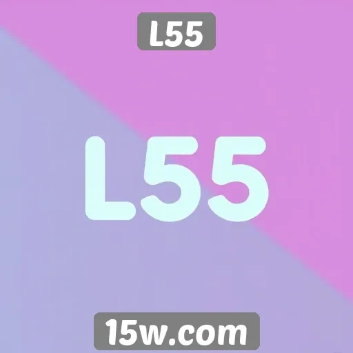 Acessibilidade e inclusão no site L55